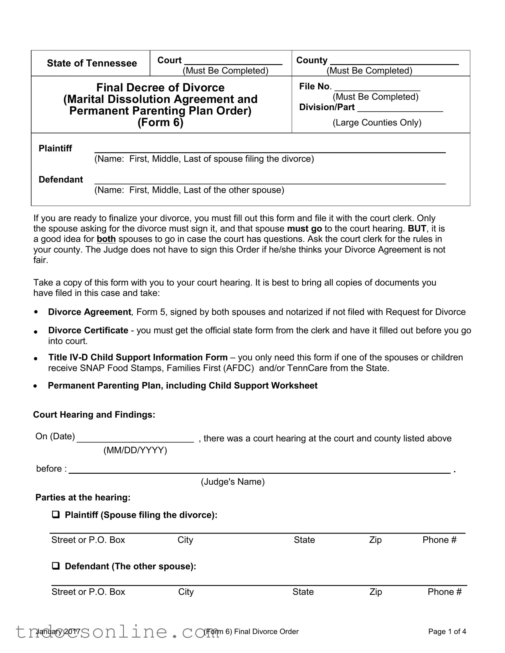 Download Final Divorce Order Tennessee Template in PDF